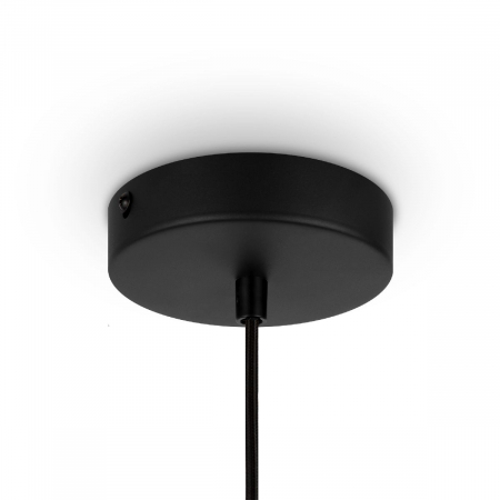 Maytoni MOD193PL-01W