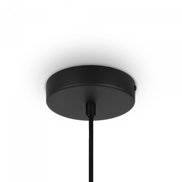 Подвесной светильник Maytoni Roots MOD194PL-01W