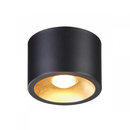 Odeon Light 6669/1CL