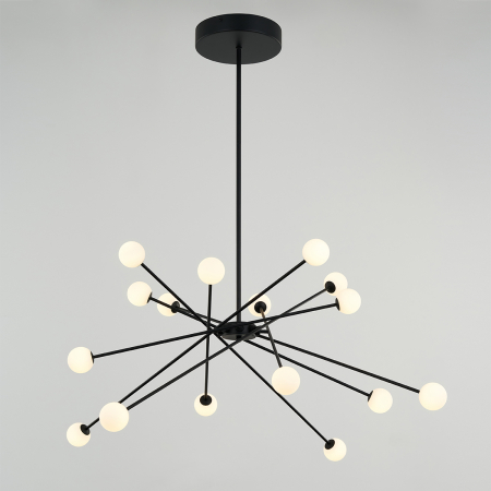 Delight Collection MD19001025-16A black