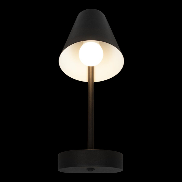 Бра Loft IT Shelf 10216/1W Black