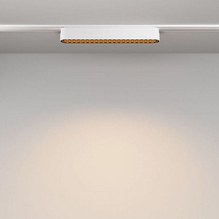 Maytoni TR084-1-12W3K-W