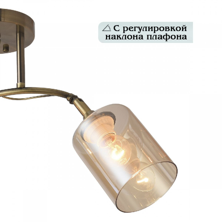 Natali Kovaltseva 81452/2W