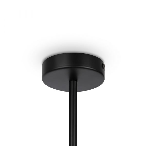 Люстра на штанге Maytoni Memory MOD177PL-04B