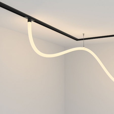 Maytoni TR101-2-50W3K-B