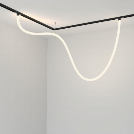 Maytoni TR101-2-50W4K-B