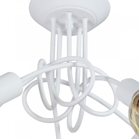 Vitaluce V3727-0/5PL