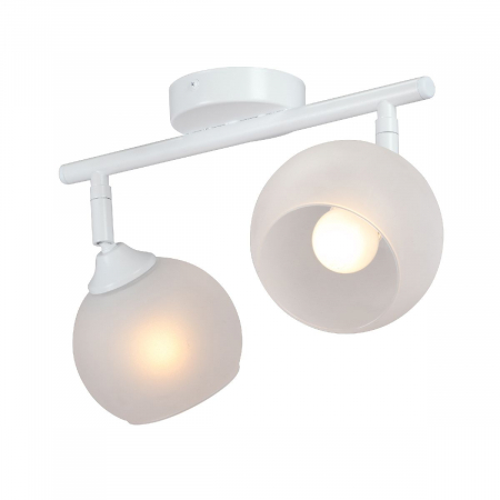 Vitaluce V4313-0/2PL