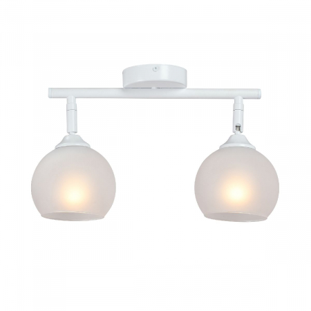 Vitaluce V4313-0/2PL