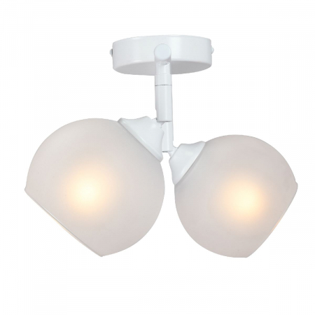 Vitaluce V4313-0/2PL