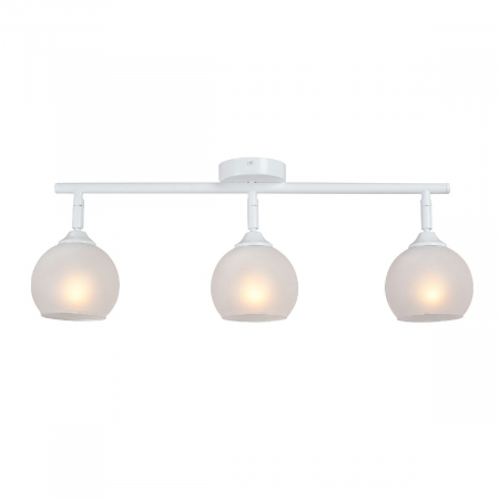 Vitaluce V4313-0/3PL