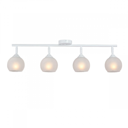 Vitaluce V4313-0/4PL