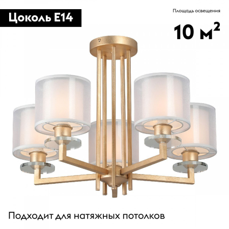 Vitaluce V3069-8/5PL