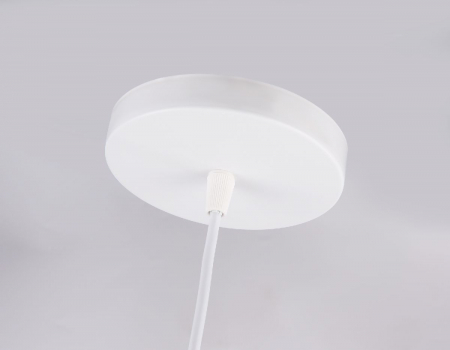 Ambrella Light TR8441