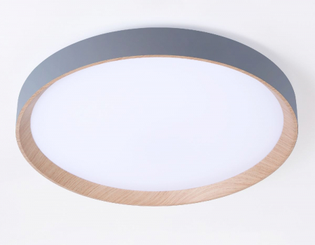 Ambrella Light FZ1322