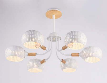 Ambrella Light TR80166