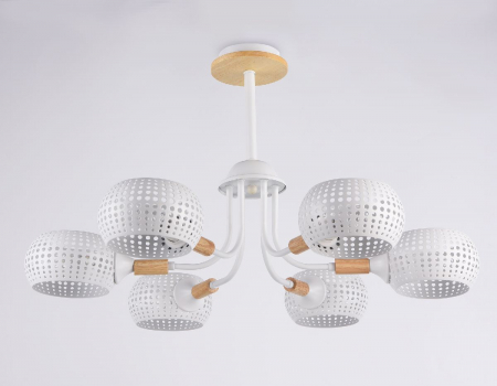 Ambrella Light TR80166