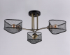 Ambrella Light TR80171