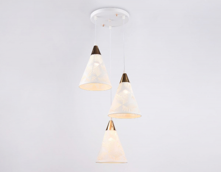 Ambrella Light TR8433