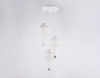 Ambrella Light TR8443