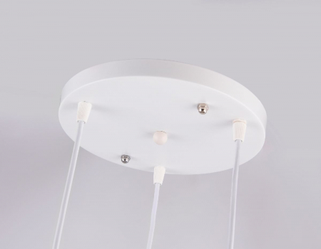 Ambrella Light TR8443