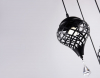 Ambrella Light TR8444