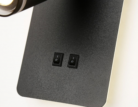 Ambrella Light FW2466