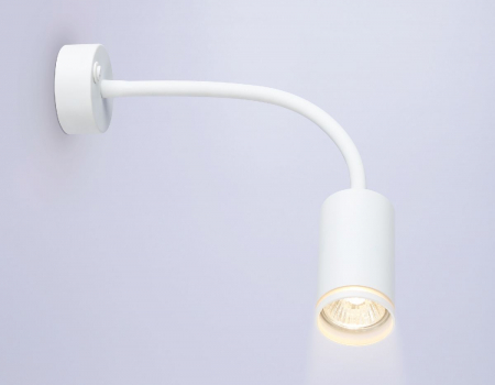 Ambrella Light FW2469