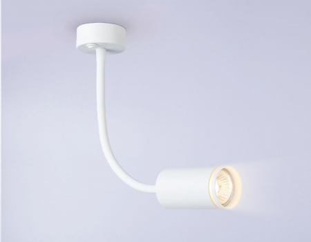 Ambrella Light FW2469