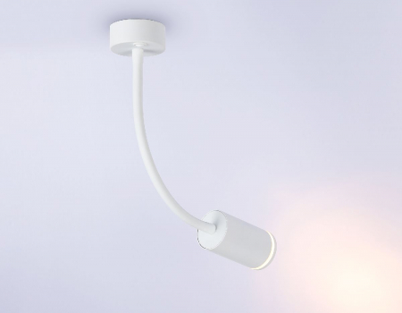 Ambrella Light FW2469