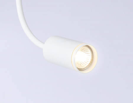 Ambrella Light FW2469