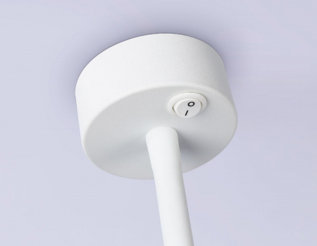 Ambrella Light FW2469