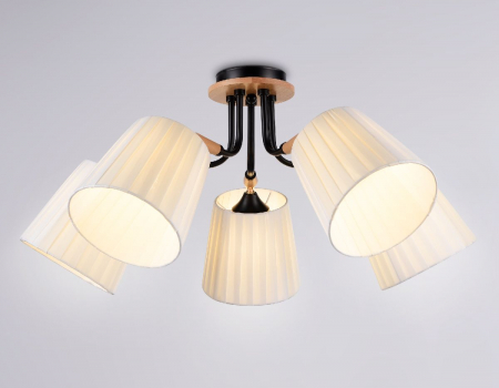 Ambrella Light TR4733