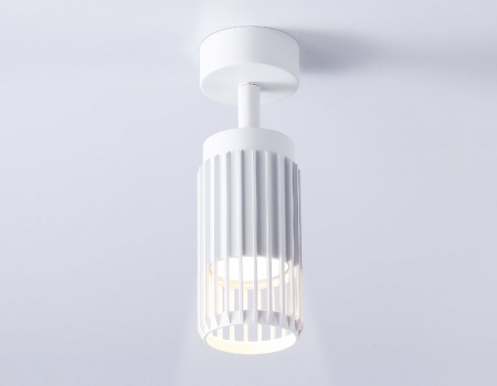 Ambrella Light TN51677