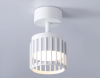 Ambrella Light TN71157