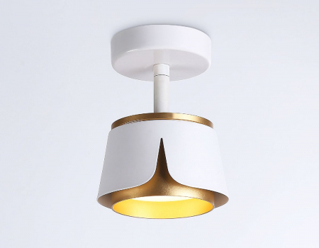 Ambrella Light TN71224