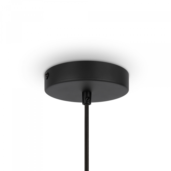 Подвесной светильник Maytoni Roots MOD197PL-01W