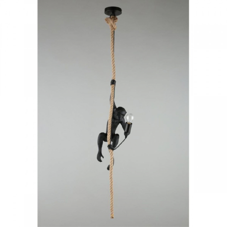 Aployt APL.309.16.01