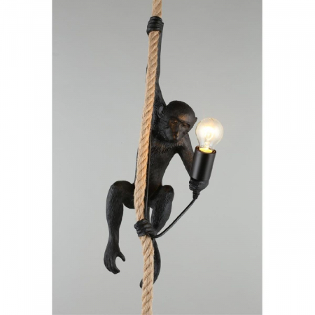 Aployt APL.309.16.01