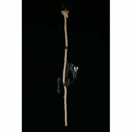 Aployt APL.309.16.01