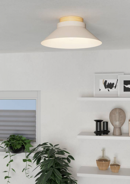 Потолочный светильник Eglo Moharras 900736