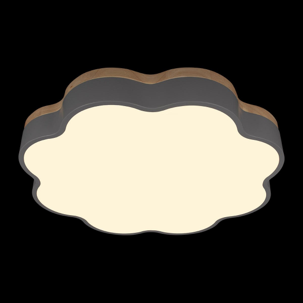 Потолочный светильник Loft IT Axel 10225/36 Grey