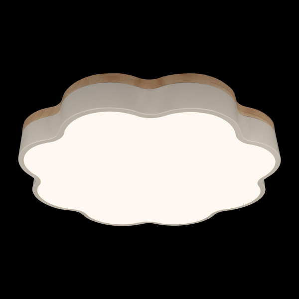 Потолочный светильник Loft IT Axel 10225/36 White