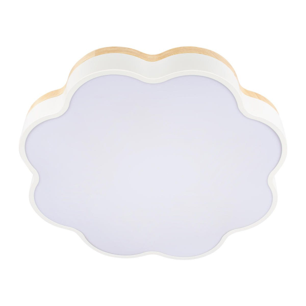 Потолочный светильник Loft IT Axel 10225/36 White