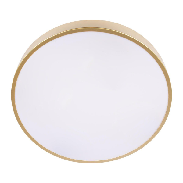 Потолочный светильник Loft IT Flims 10228/A