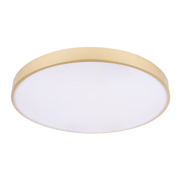 Потолочный светильник Loft IT Flims 10228/B