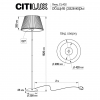 Citilux CL402973