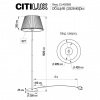 Citilux CL402983