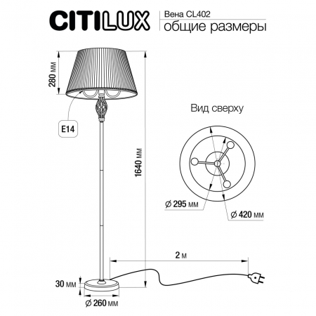 Citilux CL402920