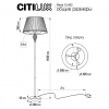 Citilux CL402920